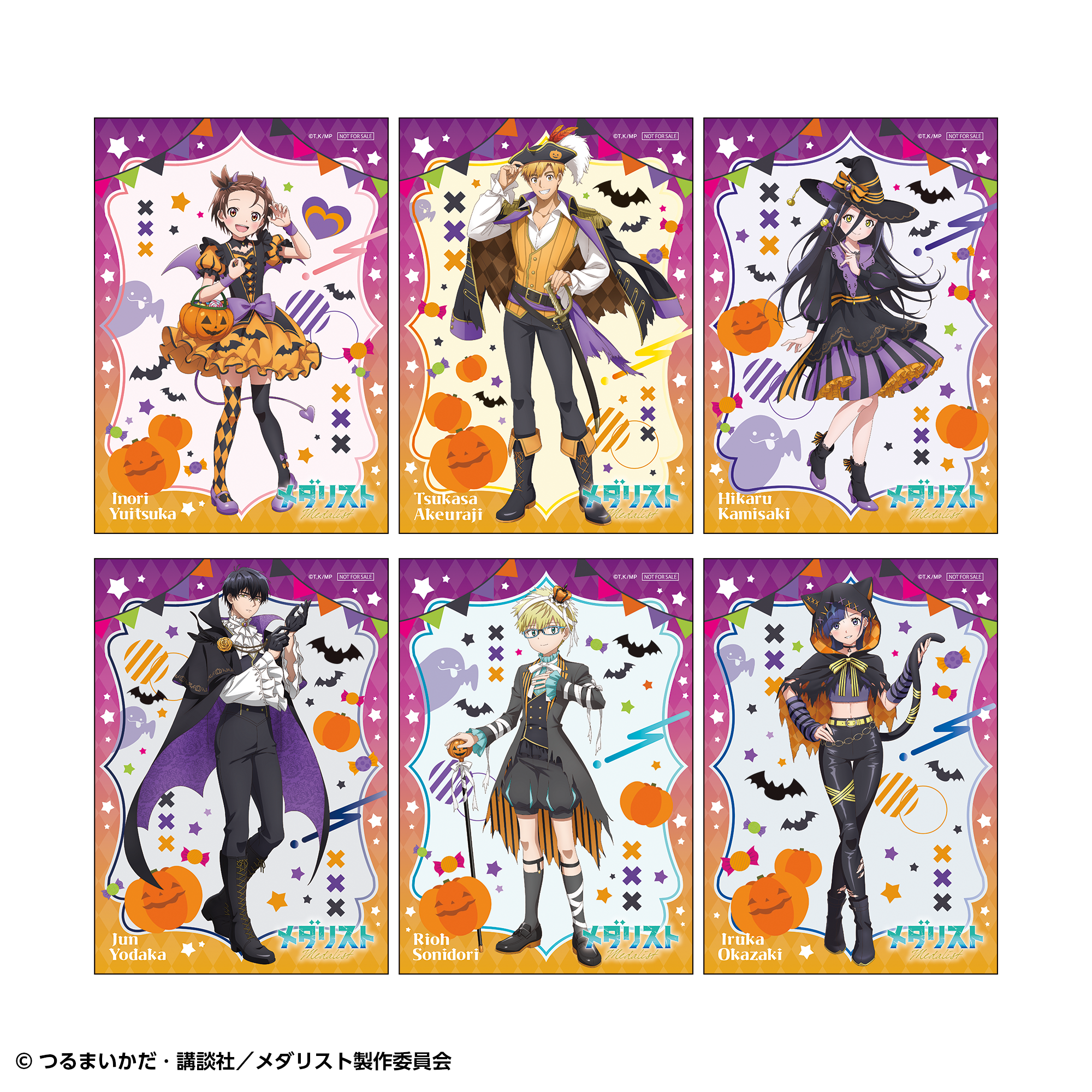 iri 新品未使用レコード PRIVATE 非売CD、ステッカー、ロンT セット ロングステッカー 鴗鳥 理凰 | SUKI+PLUS(スキプラ) Online Shop