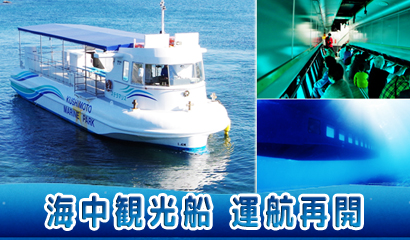 【3/20より運航再開】自然の海でサンゴの群生スポットをめぐる、貴重な海中観察体験♪