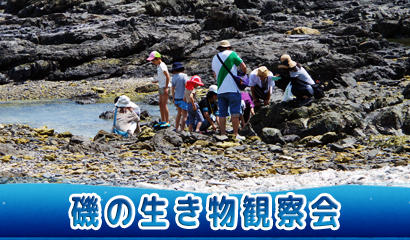 飼育員と一緒に観察を楽しめる体験イベント♪（6/14開催※定員20名、予約制）