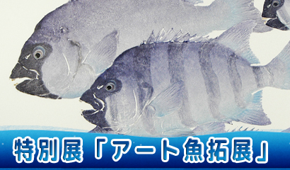 鮮やかな色彩と細やかな技法で、鱗の1枚までリアルに再現したアート魚拓の作品展♪（10/3～3/28）