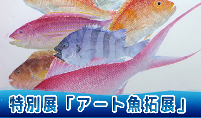 鮮やかな色彩と細やかな技法で、鱗の1枚までリアルに再現したアート魚拓の作品展♪（10/3～3/28）
