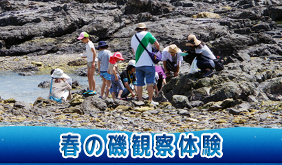 春の磯場は発見がいっぱい！飼育員と一緒に磯観察が楽しめる体験プログラム♪（要予約）