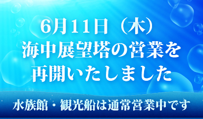6月11日より海中展望塔の営業を再開いたしました。