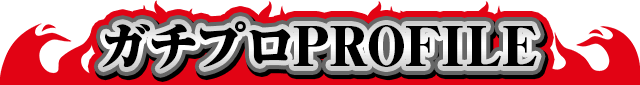 �K�`�v��PROFILE
