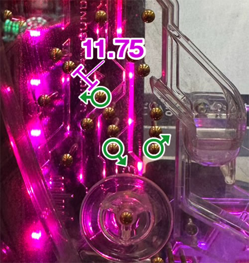 P�K���_�����j�R�[�����C�g_���B���