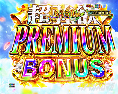 �����~PREMIUM BONUS