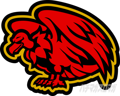 Rhvb