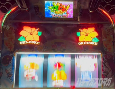 ���h�LDUO�A���R�[�� �n�C�r�X�J�X�_��