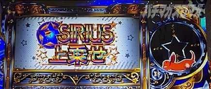 �W���S�����[���b�g�b�X���b�g ���[���h�_�C�X�^�[�iWDS�j�b�X�}�X�� �p�`�X��