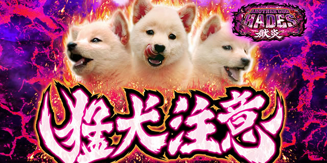 PAiU[Sbhn[fX--