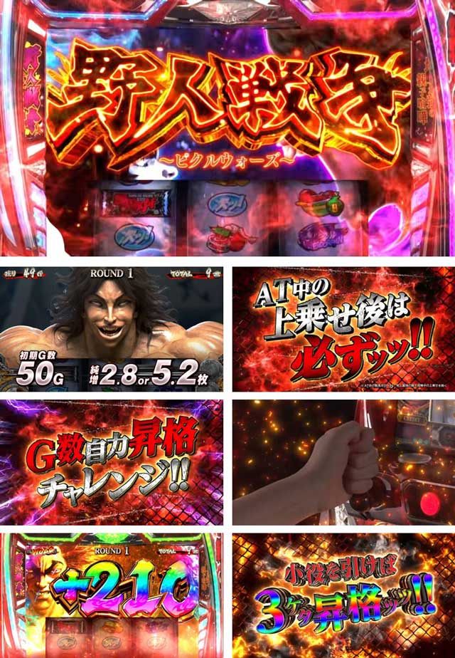 ���iPV�bL�͔n�n��i�o�L�j�b�X�}�X�� �p�`�X�� �X���b�g