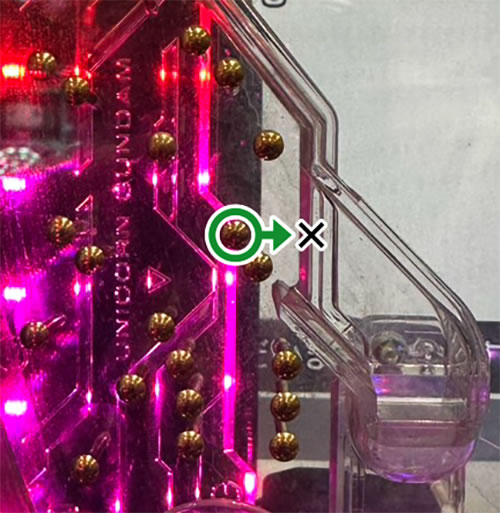 P�K���_�����j�R�[�����C�g_���[�v�B���