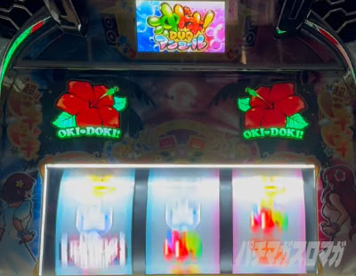 ���h�LDUO�A���R�[�� �n�C�r�X�J�X�_��