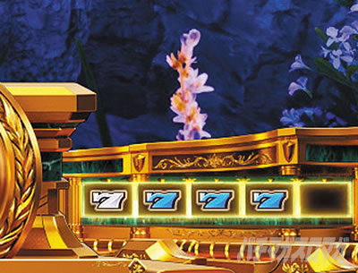 �X�}�X���~���I���S�b�h ������ܗ���