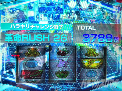 �p�`�X�� �v���@���@�������C��