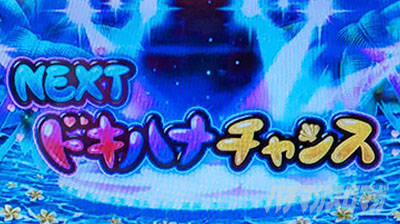 ���h�LDUO�A���R�[�� �h�L�n�i�`�����X