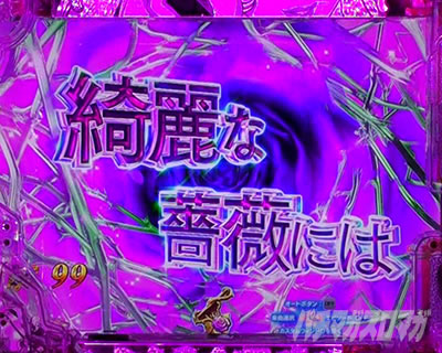 sq艉o
