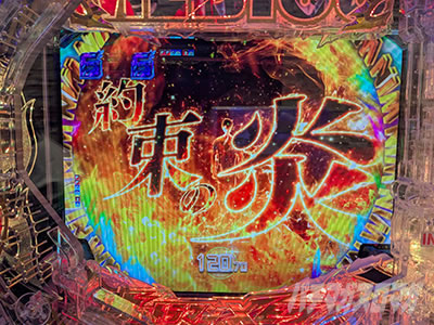 ��񂩑����̉\�̐V������b���@�E���g���}�����r�E�X�@�񑩂̉��\��1