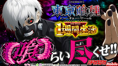 1�T�Ԑ�����2�e