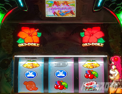 ���h�LDUO�A���R�[�� �J�i����񃉃��v�_��