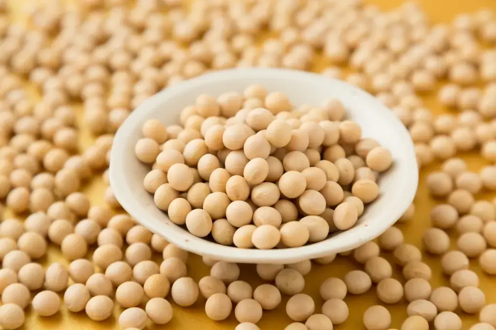 豆乳は薄毛(ハゲ)対策に良いって本当?その栄養と大豆イソフラボンから見る育毛パワーをご紹介!