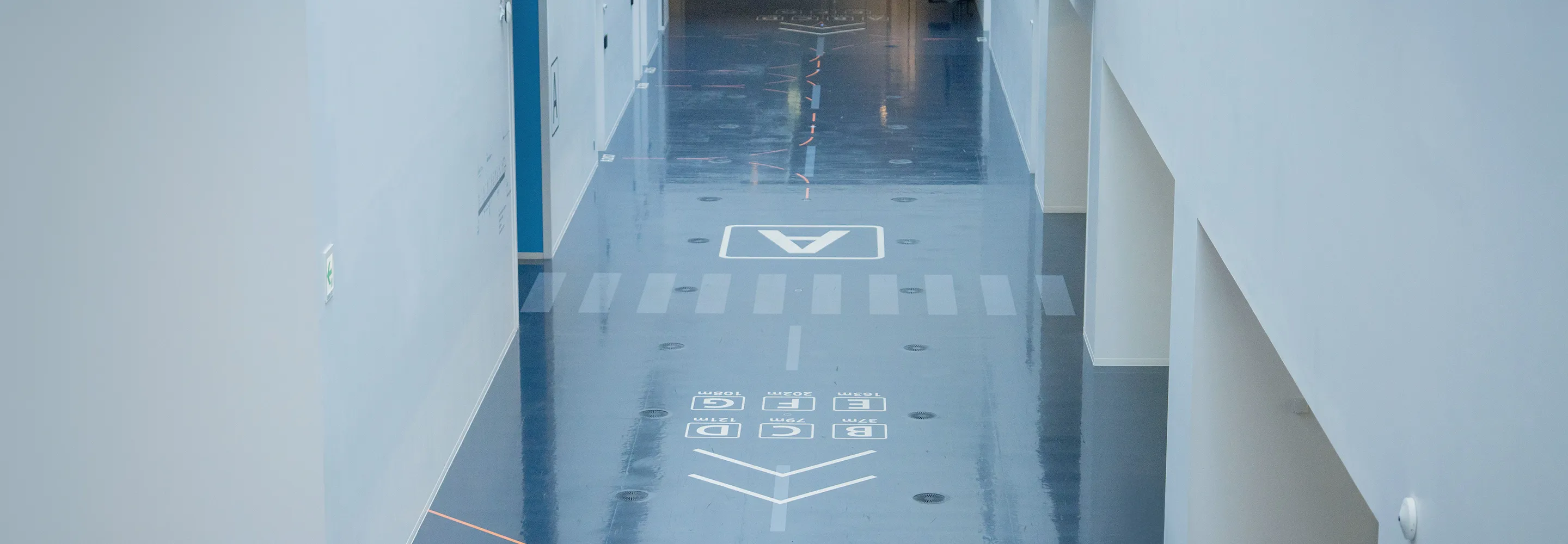 チームで目指す未来