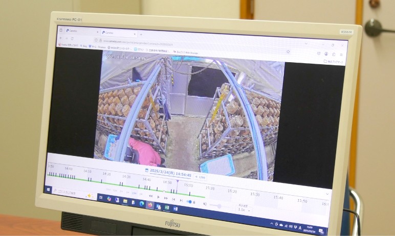 動体検知により、動きがあった箇所を効率的に確認。